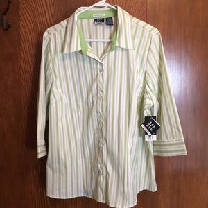 DCC Woman Spring Green Stripe 3/4 sleeve blouse